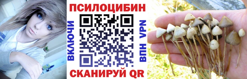 нарко площадка клад  Правдинск  Галлюциногенные грибы Cubensis 