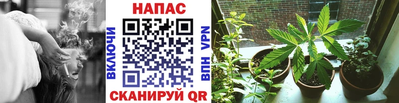 Бошки Шишки LSD WEED Правдинск